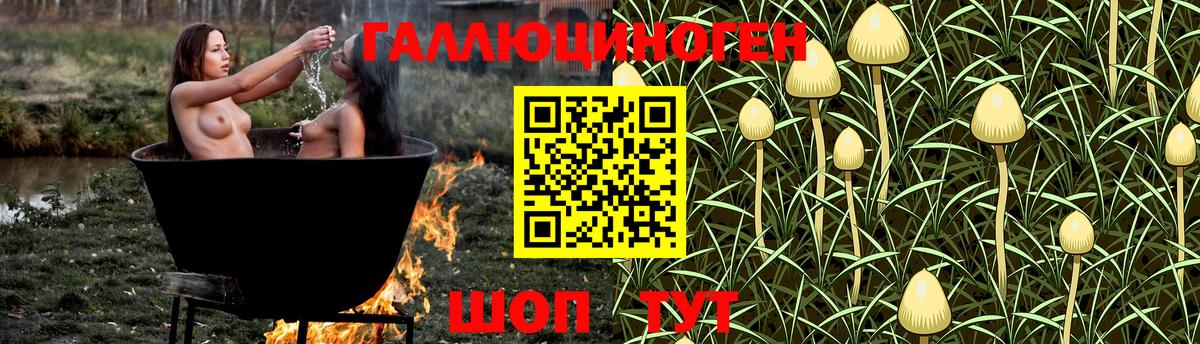 Златоуст  Галлюциногенные грибы Magic Shrooms  Вход с VPN 